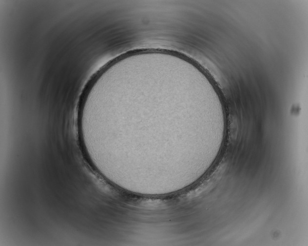 X0000102860982200809151207