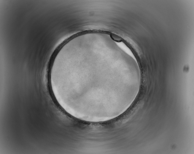X0000102860983200809151207
