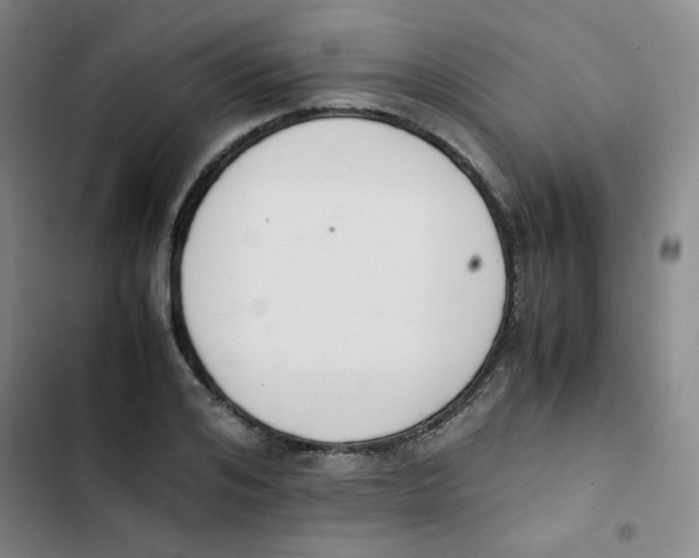 X0000102860984200809151207