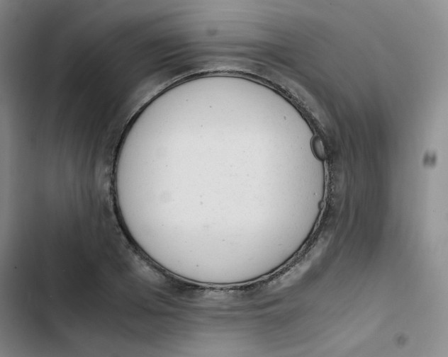 X0000102860985200809151207
