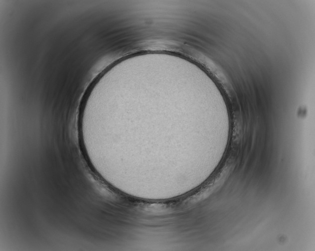 X0000102860986200809151207