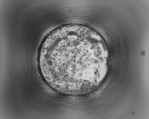 X0000102860987200809151207