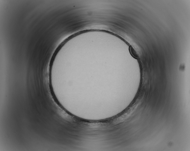 X0000102860988200809151207