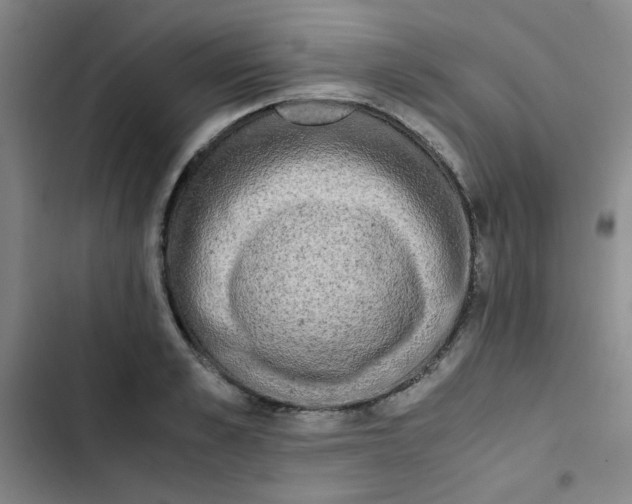 X0000102860989200809151207