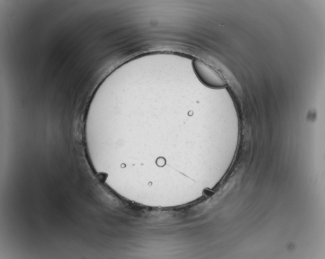 X0000102860993200809151207