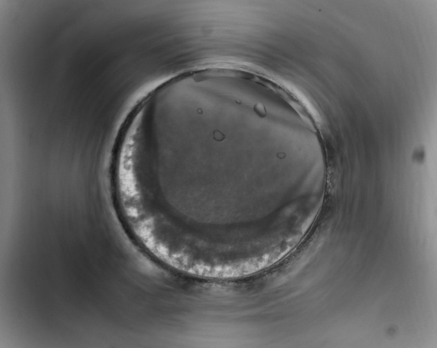 X0000102860995200809151206