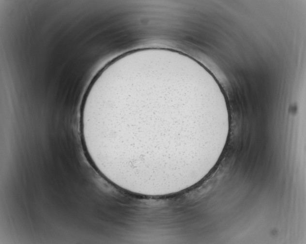 X0000102860996200809151206