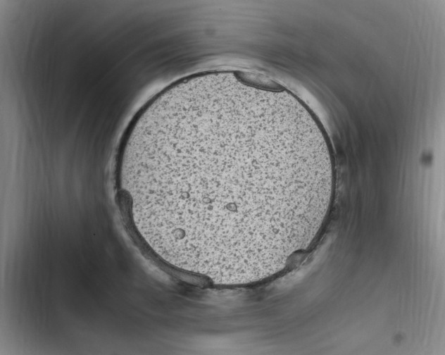 X0000102860997200809151206