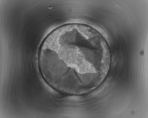 X0000102860998200809151206