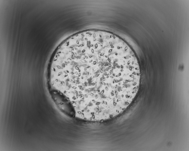 X0000102860999200809151206