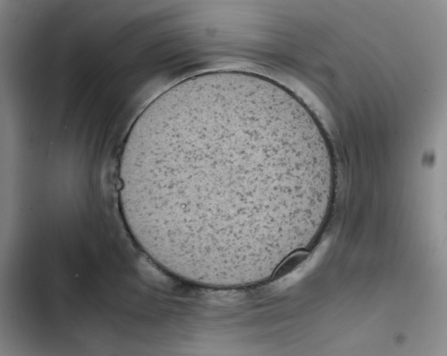 X0000102861001200809151206