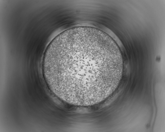 X0000102861002200809151206