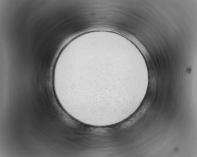 X0000102861004200809151206