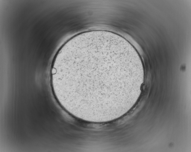 X0000102861005200809151206