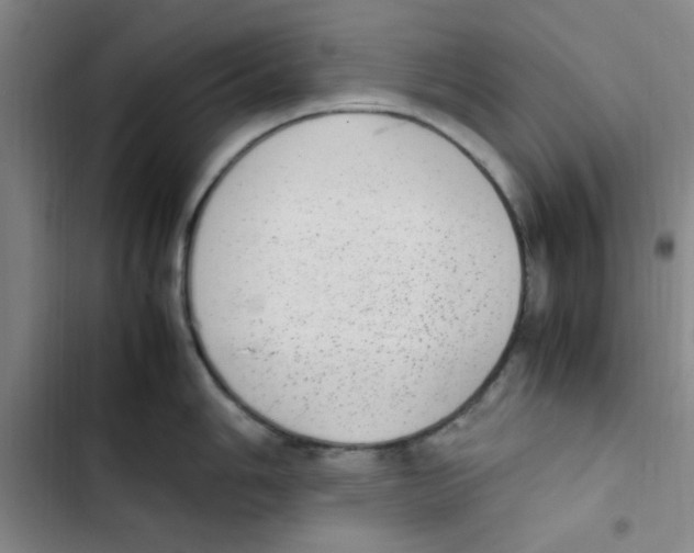 X0000102861006200809151206