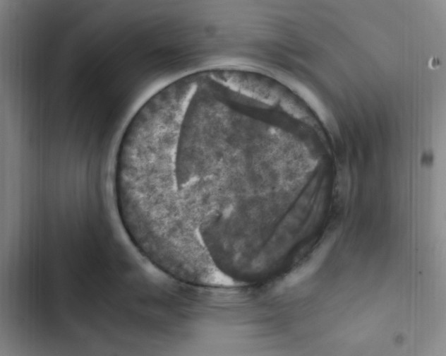 X0000102861007200809151206