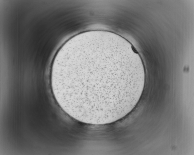 X0000102861008200809151206