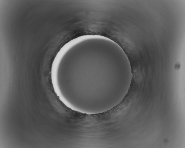 X0000102861009200809151205