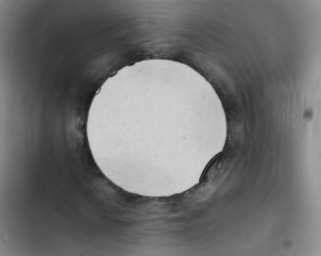 X0000102861010200809151205