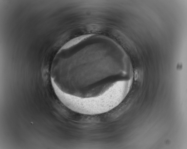 X0000102861011200809151206