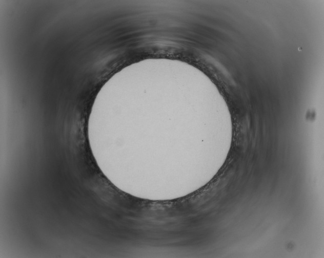 X0000102861013200809151206