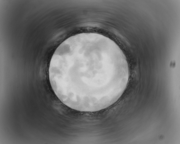 X0000102861014200809151206