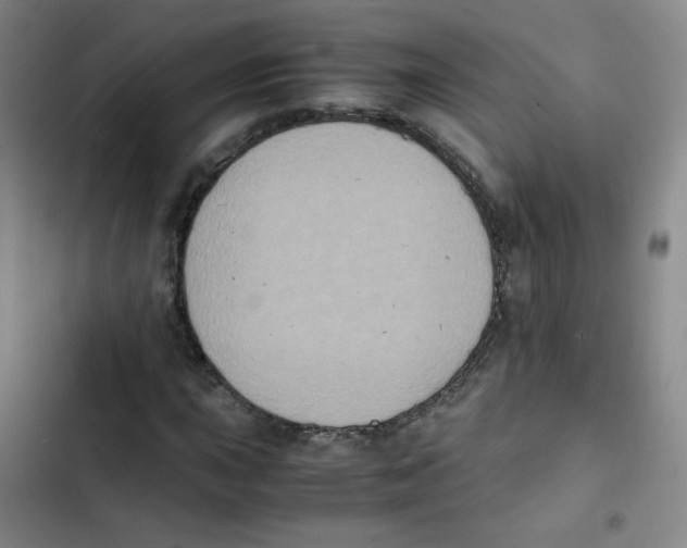 X0000102861015200809151206