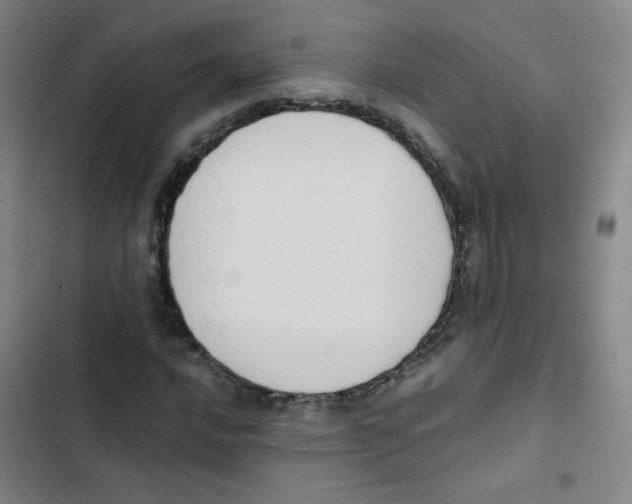 X0000102861016200809151206