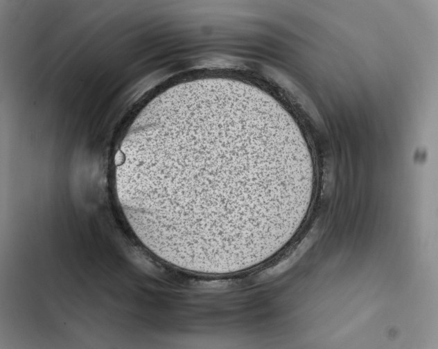 X0000102861017200809151206