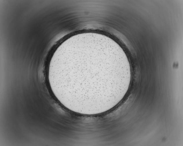 X0000102861018200809151206