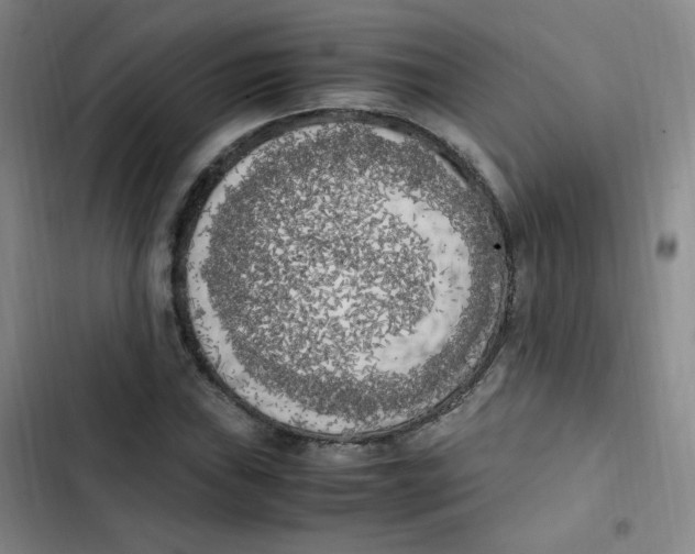 X0000102861019200809151206