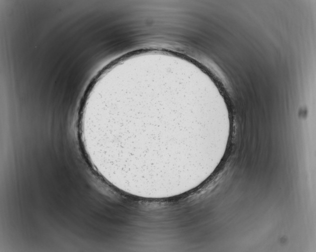 X0000102861020200809151206