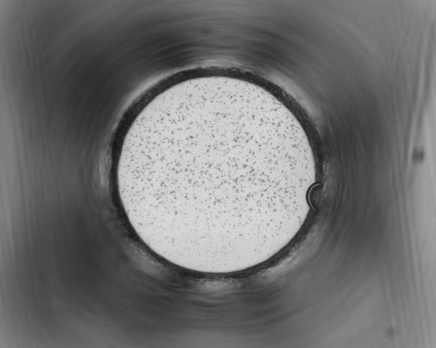 X0000102861021200809151206