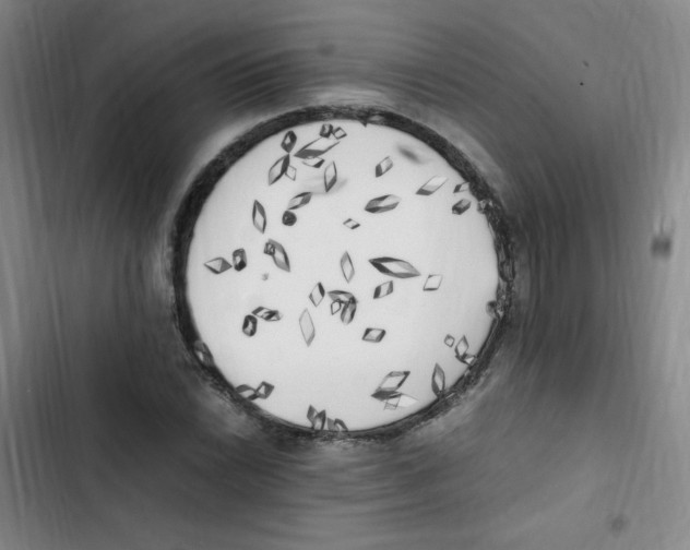 X0000102861022200809151206