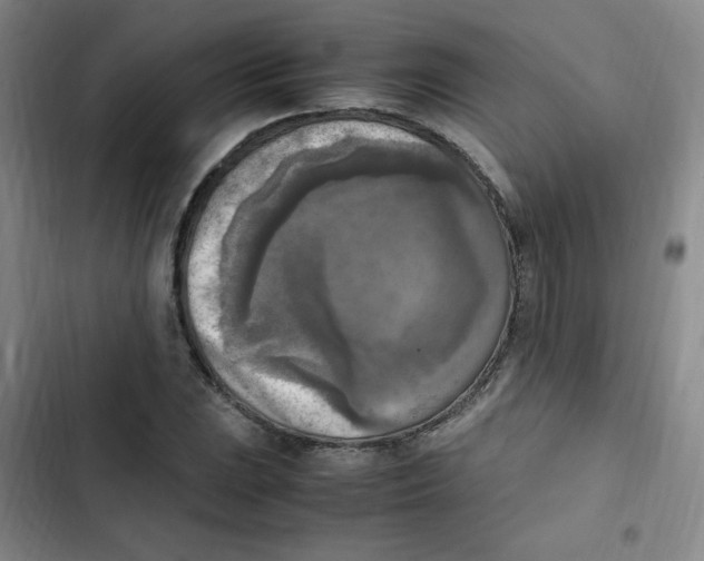 X0000102861023200809151206