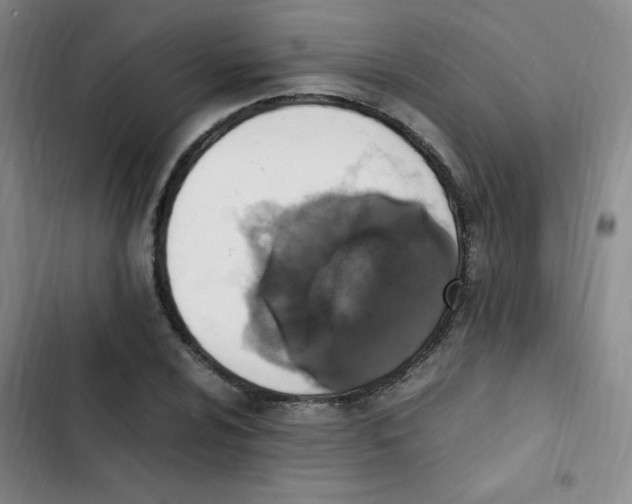 X0000102861024200809151206