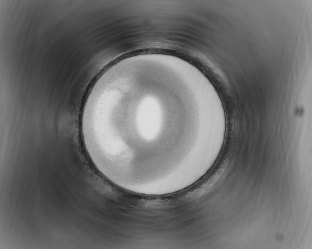 X0000102861025200809151206