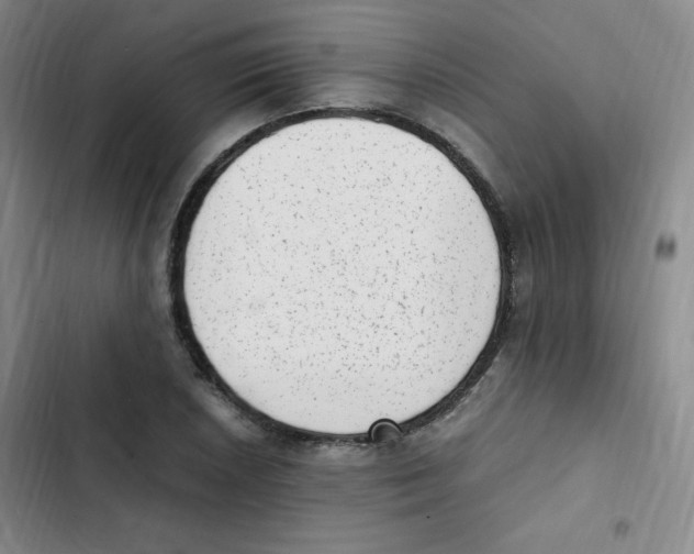 X0000102861026200809151206