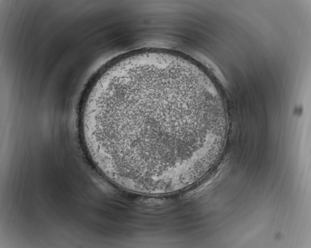 X0000102861027200809151206