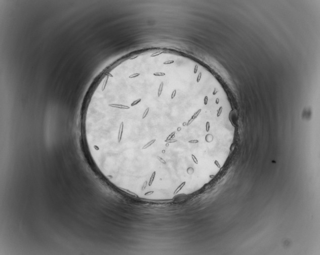 X0000102861028200809151206