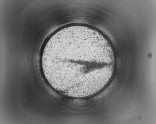 X0000102861029200809151206