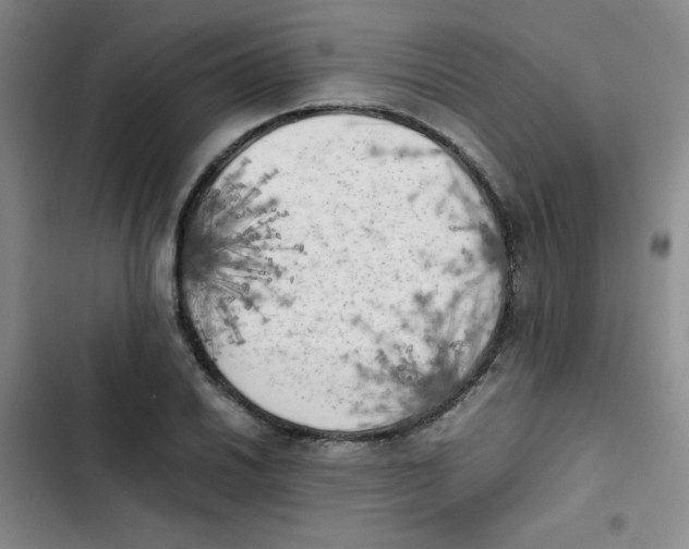 X0000102861030200809151206