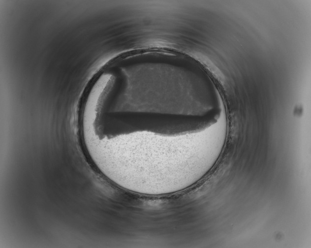 X0000102861031200809151206