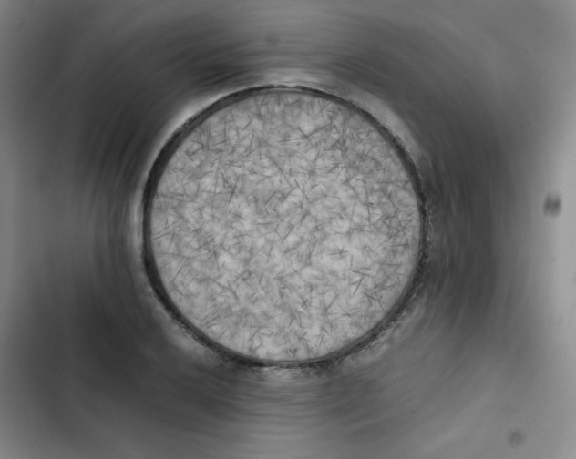 X0000102861032200809151206