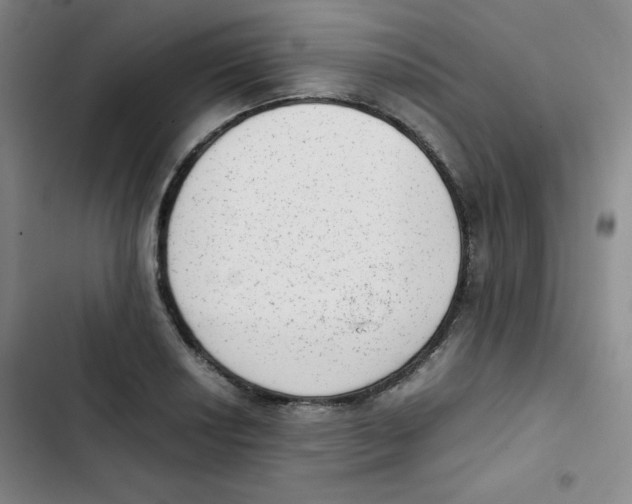 X0000102861034200809151206