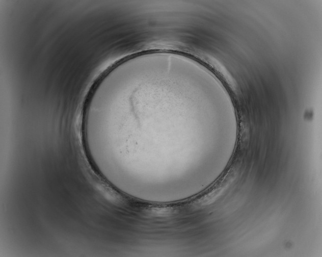 X0000102861035200809151206