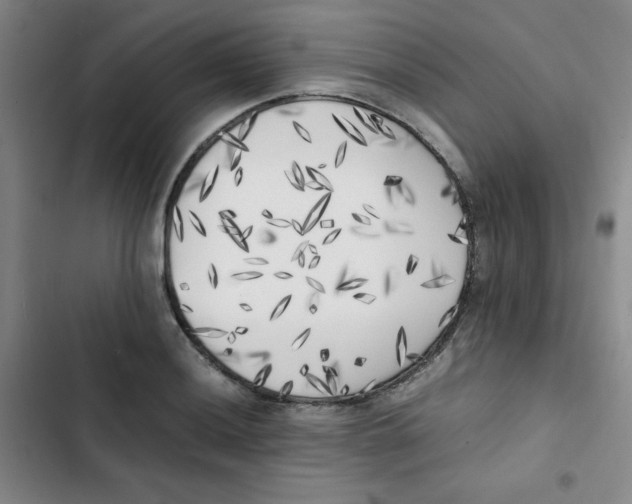 X0000102861036200809151206