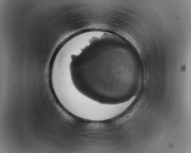 X0000102861037200809151206