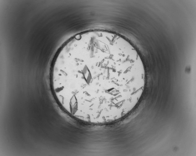 X0000102861038200809151206