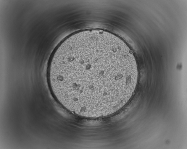 X0000102861039200809151206